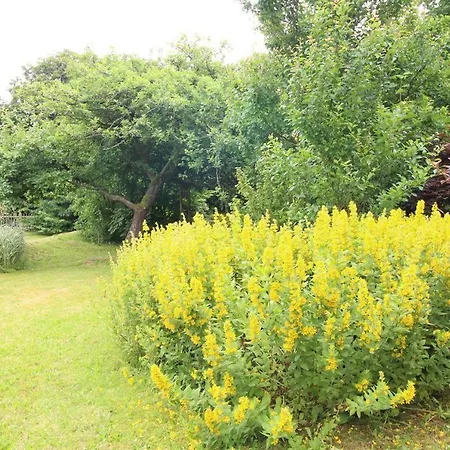 Ferienwohnung Rosenkate